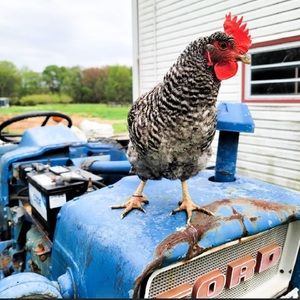 U never know what surprises come your way..